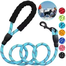 3M Reflective Pet Nylon Leash – Adjustable Dog Tow Rope with Non-Slip Foam Handle for Small, Medium & Large Dogs, Outdoor Walking Lead