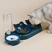 3-in-1 Pet Bowls with Gravity Water Feeder – Tilted Cat Food &amp; Water Bowl Set with Ear Design, Neck Protection Feeding Station for Cats and Small Dogs