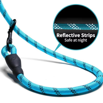 3M Reflective Pet Nylon Leash – Adjustable Dog Tow Rope with Non-Slip Foam Handle for Small, Medium & Large Dogs, Outdoor Walking Lead