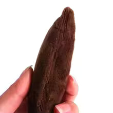 Catnip Teeth Grinding Plush Cat Toy – Interactive Chew &amp; Bite Toy with Cat Mint for Kittens and Cats